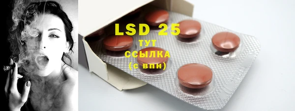 стаф Бугульма